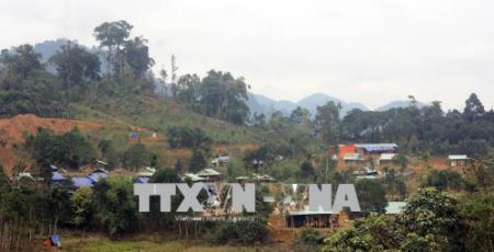 DTS-Xuân bay trên làng mới Khe Chữ