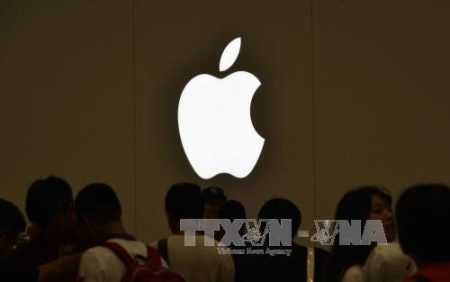 DTS-2017 – Năm bội thu mực giàu ‘gã khổng lồ’ làm nghệ Mỹ